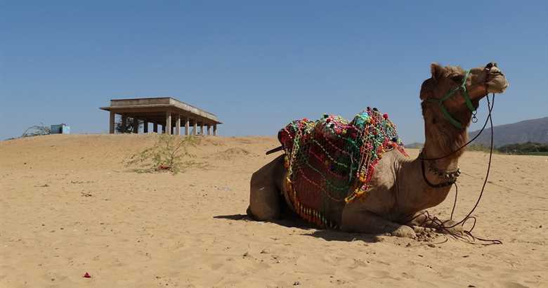 Colorful Rajasthan Tour